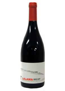 . En boca es fluido y equilibrado, serio, sabroso y con nervio. Mantiene una viveza en su agradable y persistente paso en boca.
Risottos, Carnes rojas asadas, Quesos de oveja, Platos especiados, Ternera en salsa, Carnes rojas con salsa. Lalama