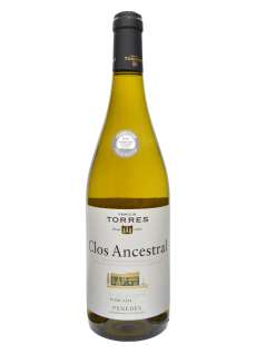 Bílé víno Clos Ancestral Blanco
