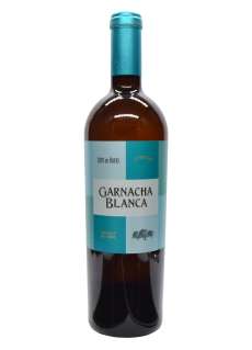 Bílé víno Coto de Hayas Garnacha Blanca