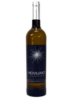 Bílé víno Novilunio Albariño