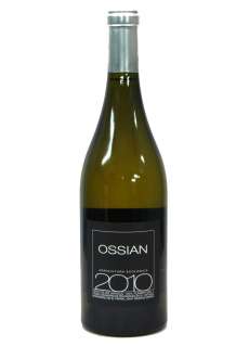 Bílé víno Ossián