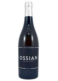 Bílé víno Ossian