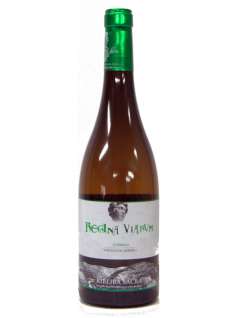 Bílé víno Regina Viarum Godello