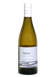 Bílé víno Valdesil