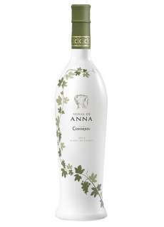 Bílé víno Viñas de Anna Blanc de Blancs
