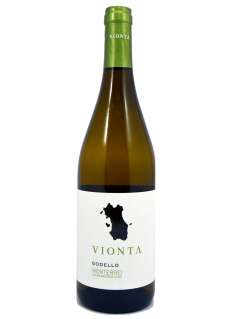 Bílé víno Vionta Godello