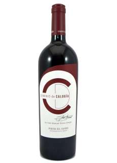 Červené víno Dominio de Calogía