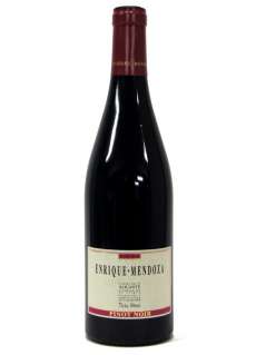 Červené víno Enrique Mendoza Pinot Noir