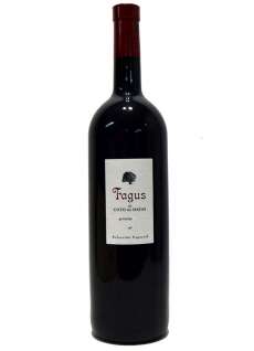 Červené víno Fagus Magnum