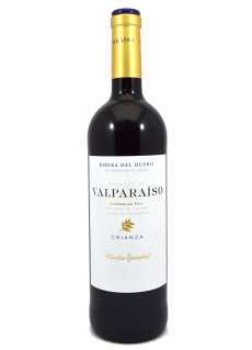 Červené víno Marqués de Valparaíso
