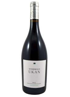 Červené víno Senderos de Ukan