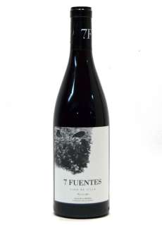 Červené víno Suertes del Marques 7 Fuentes