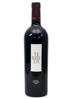 Červené víno Terreus