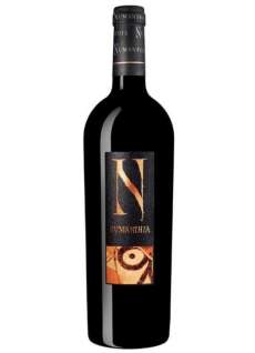 Červené víno Valenciso 10 Años Después